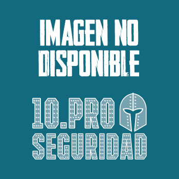 (c) Seguridad10.pro